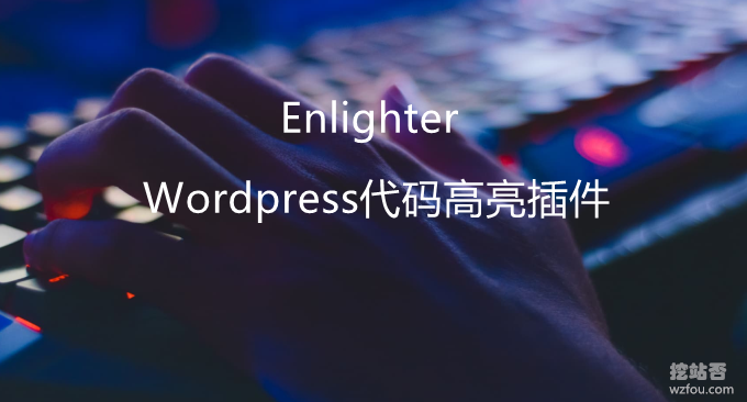全能型和超强兼容性WordPress代码高亮插件Enlighter-WP-瑞驰杂刊