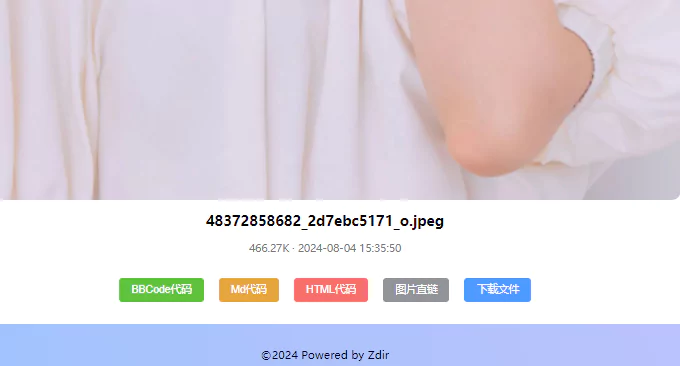 图片[8]-Zdir Pro：个性化私有存储方案，打造专属WebDAV云存储与离线下载平台-新州信息